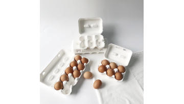 bagasse pulp egg holderx264_x264_x264