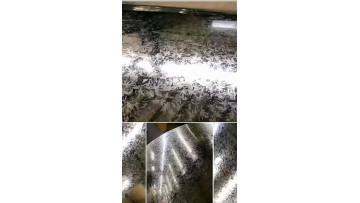 galvanized steel coil