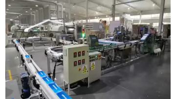 The continuous motion side sealer ( all servo ) TBJ work with the collator ( sorting and aligning device ) to pack the mask boxes in combination