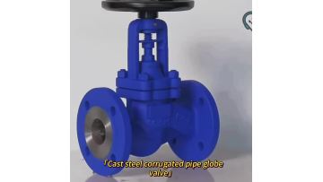 Bellows globe valve