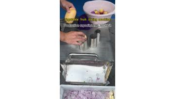 Vegetable fruit slicing machine