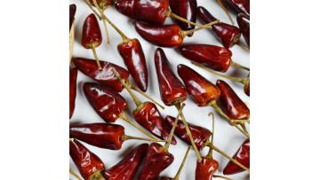 Capsicum frutescens var Dried chilli
