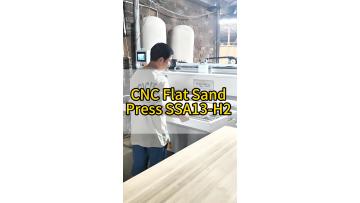 CNC Flat Sand Press SSA13-H2