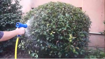 garden gun