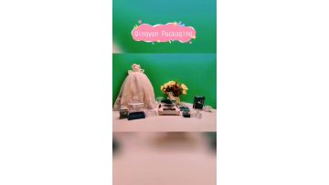 Compact powder case with transparent lid