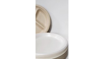 China Manufacturer Environmentally Friendly Biodegradable Disposable Tableware Wholesale1