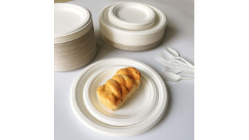 sugarcane bagasse plates