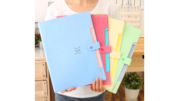 Kawaii  Carpetas Korea Stationery Carpeta File Folder 5 Layers Archivadores Anillas A4 Document Bag Office Carpetas1