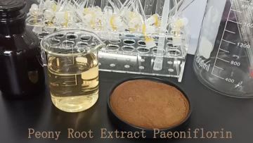 Peony Root Extract Paeoniflorin