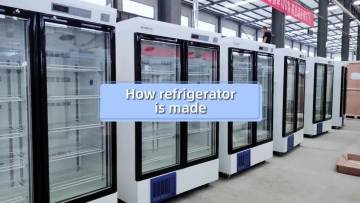 Biobase Portable Car Refrigerator Mini Freezer Cooler Beach Fridge AC DC For Home Outside1