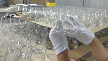 Glass cup insepction site 