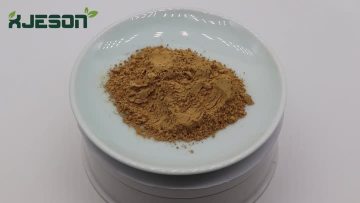 Silymarin Powder 
