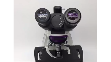 40X-1000X Professional Binocular Compound Microsco