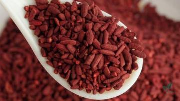 Red Rice Extract