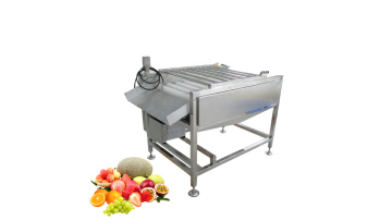 Citrus washing machine