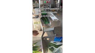 vegetable cutting machine