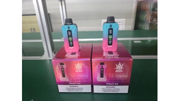 Bang Beach 20000 puffs Mesh coil VAPor