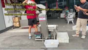 Fruit and Vegetable Juing machine Spiral juicer