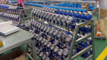 linshui product video 19
