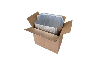 box liner11.23