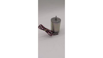 PI6-1 motor