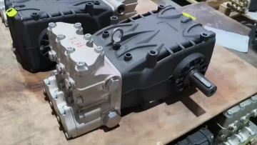FLW Plunger Pumps