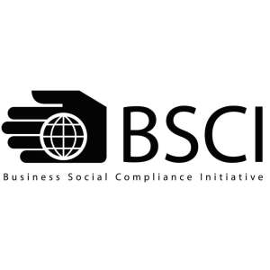 BSCI