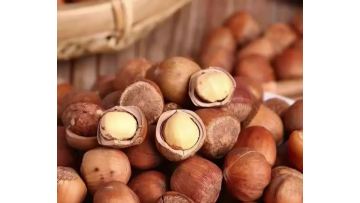 Hazelnuts Kernel Products