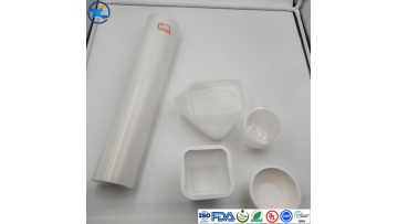 PP Food Container2