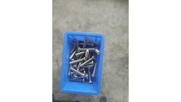 DIN85 Slotted Pan Head Machine Screws
