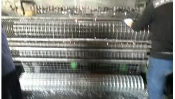 4' *8' Galvanized welded wire mesh /Galvanized welded wire mesh panel/1/2' *12/' Galvanized welded wire mesh1