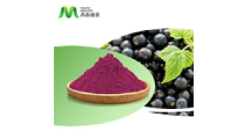 Food Additives Spray Dried Acai Berry Extract Powder Bulk Acai Powder1
