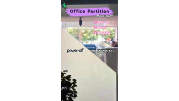 pdlc for office