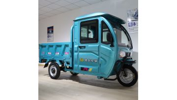 Electrical cargo tricycle LB-cp2