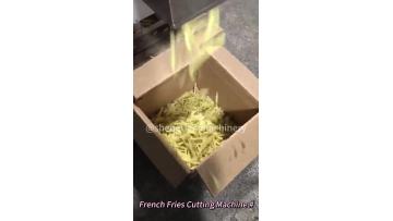 ST-1000J French Fries Cutting Machine