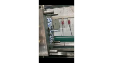 Injection molded plastic bear toys