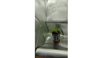 Silver Diamond Mylar Reflective Film Rolls 