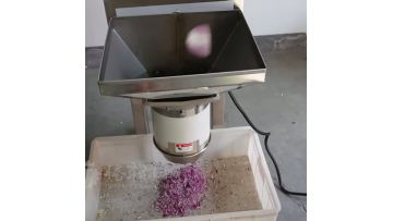 TS-S68-1 onion chopper machine commercial
