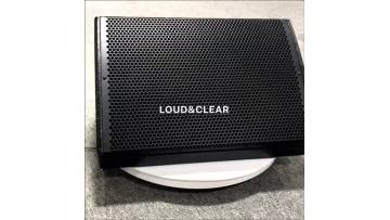 Passive single 12 inch full range stage monitor wooden pa speaker1