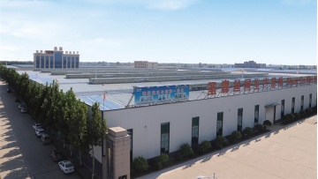 Xinshengsen Matel iron wire