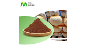 High Quality Organic Lions Main Hericium Erinaceus Extract Powder Lions Mane1