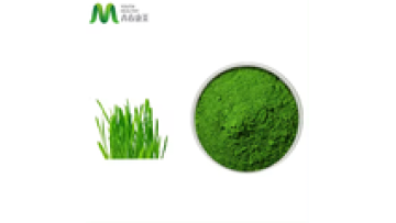 Good Taste Wheat Grass Juice Powder1
