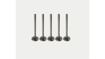 Exhaust Valve for Engine Systems 1