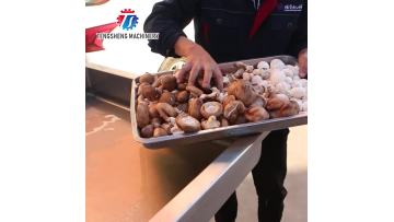 TS-Q80B Automatic commercial mushroom slicing machine