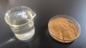 Fennel Extract Powder