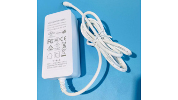 12V5A white adapter 