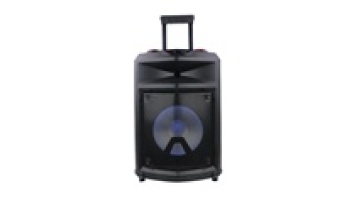 Factory Price 12 Inch PA System Partybox1000 - Big Boombox with Disco Lights1