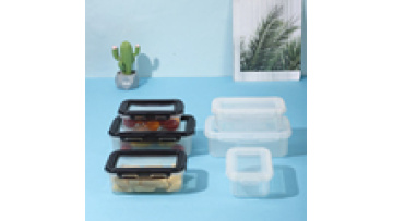 Factory Direct Sell Rectangle Lunch Box Plastic Food Storage Containers with stretch lid of silicone1