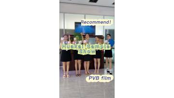 PVB FILM SAMPLE DISPLAY