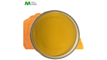 Fast Shipping Free Sample Organic Pumpkin Powder Price1